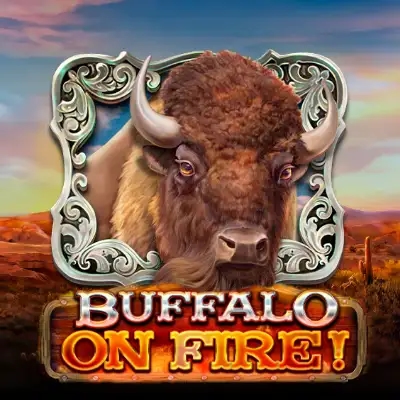 Buffalo on Fire!
