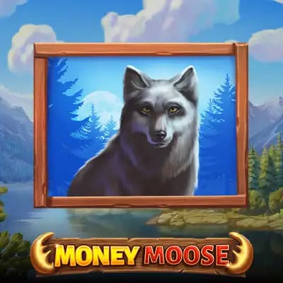Play Money Moose Slot by Booming games