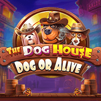 Play The Dog House - Dog or Alive Slot by Pragmatic Play